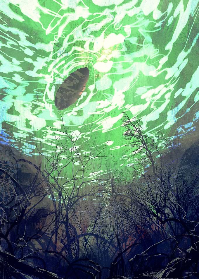showing underwater view