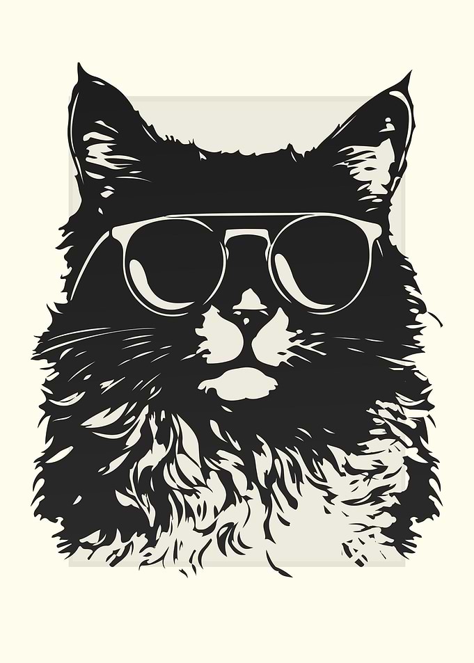 American Curl Cat Sketch