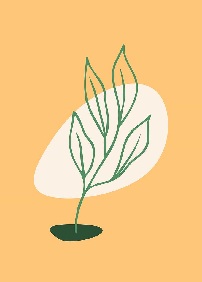 leaves calssic