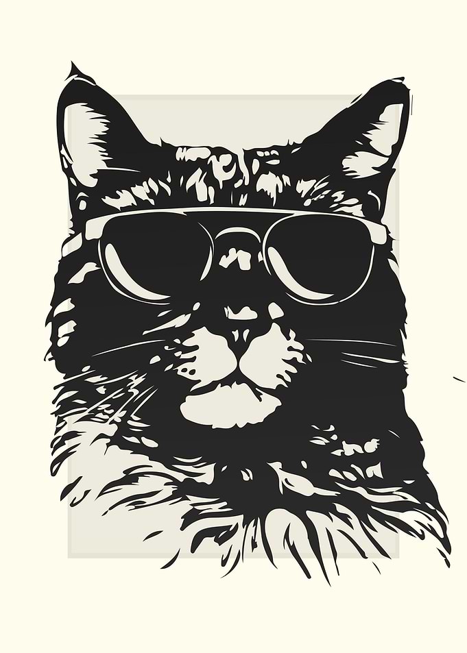 American Bobtail Sketch