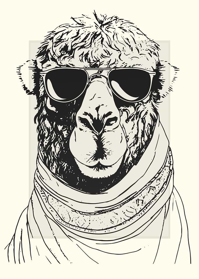 Arabian Camel Illustration