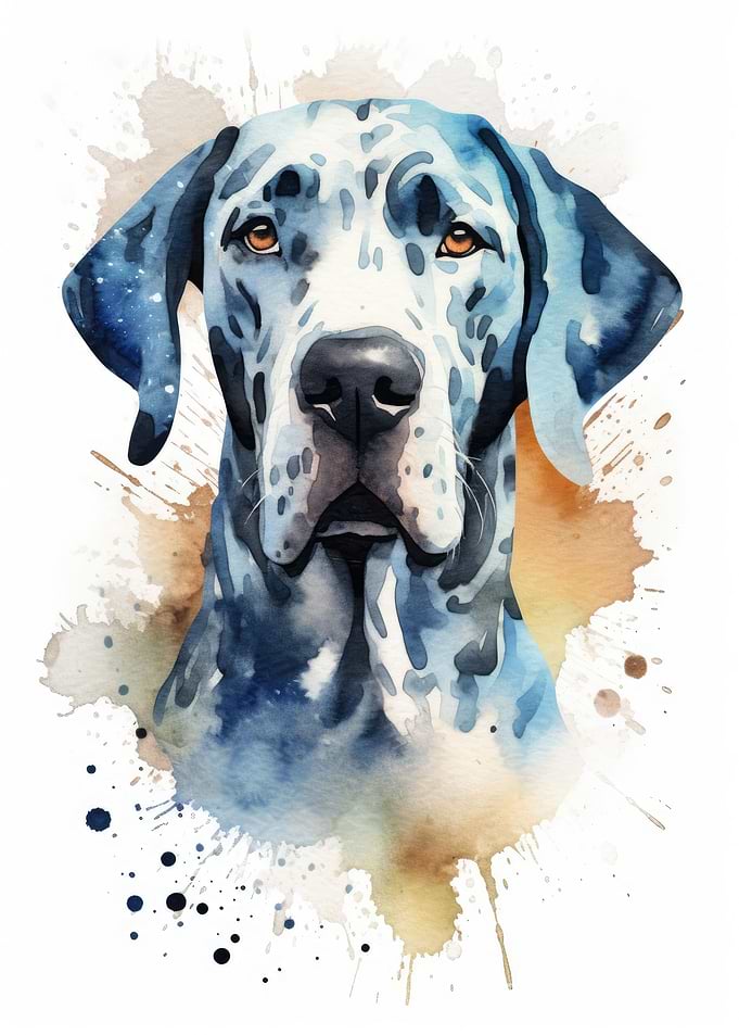 Great Dane watercolor