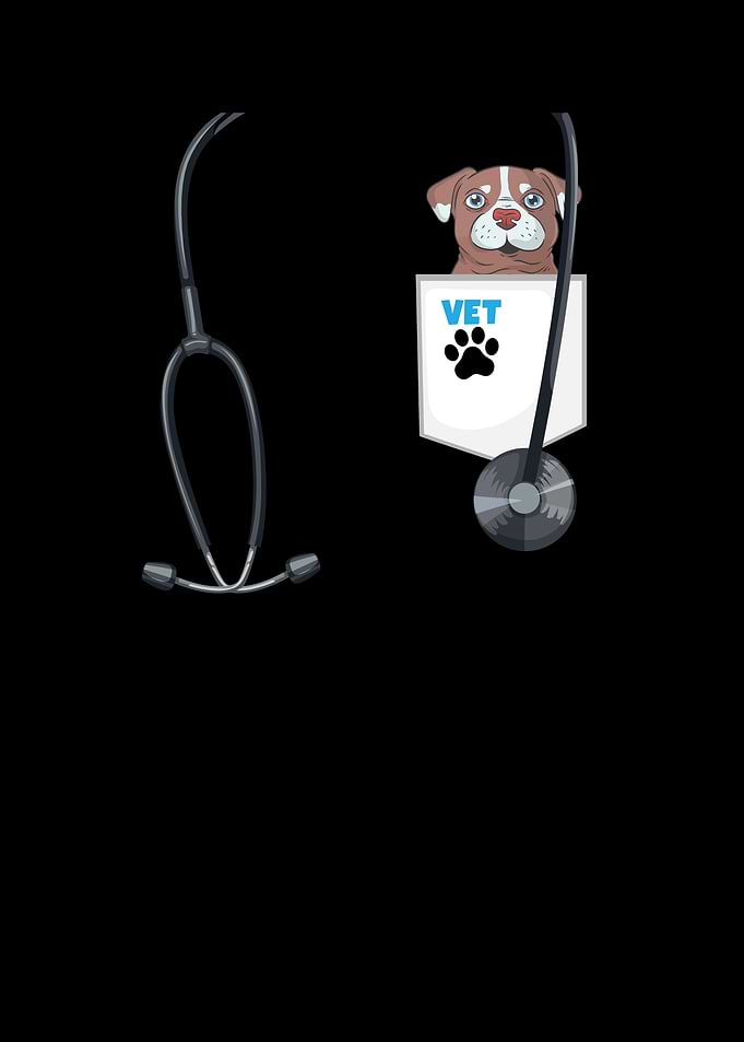 Veterinarian Costume for