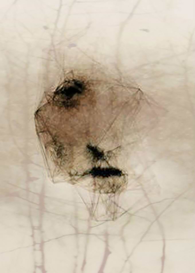 Face