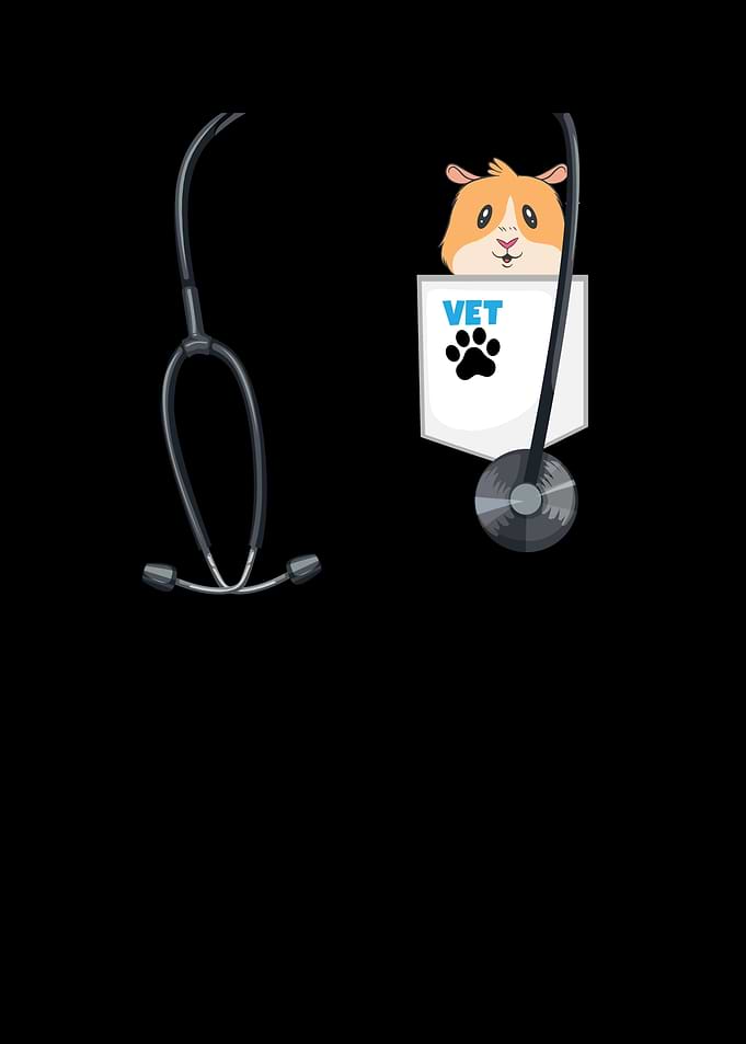 Veterinarian Costume