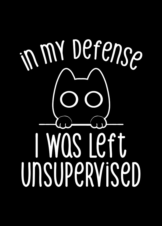 In my Defense