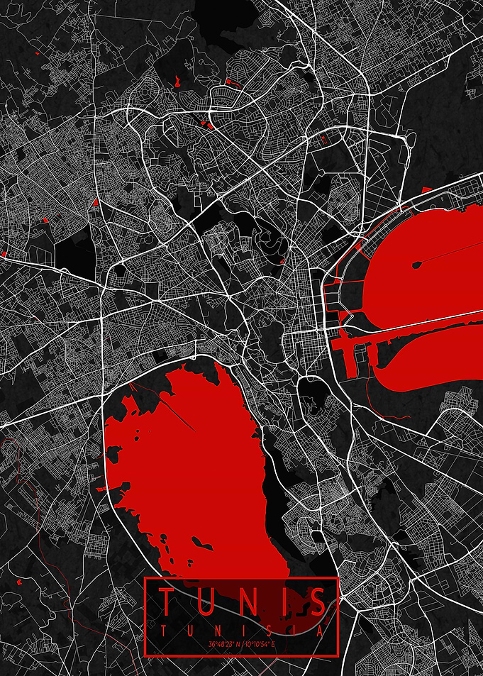 Tunis City Map Oriental