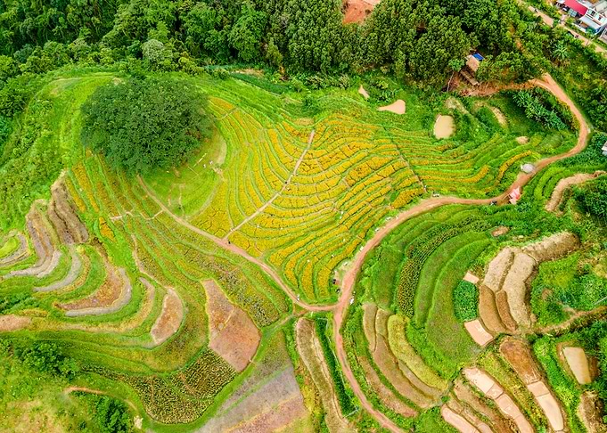 Nice Terraced meadows
