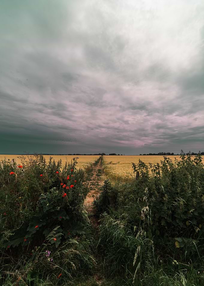 Dark Skies in Spring