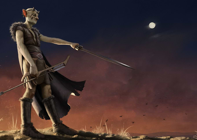 Mamori Warrior