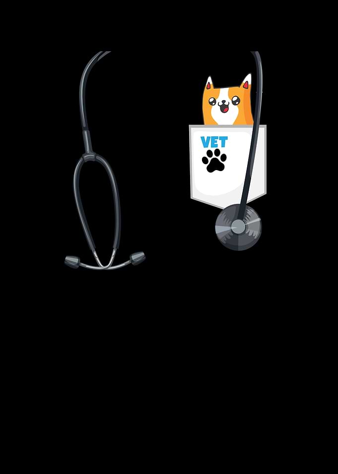 Veterinarian Costume