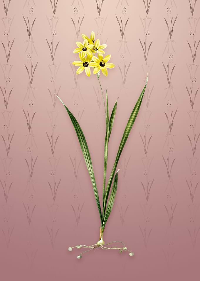 Vintage Ixia Fusco Citrina
