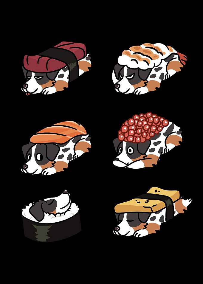 Australian Shepherd Sushi
