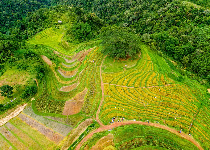 Nice Terraced meadows