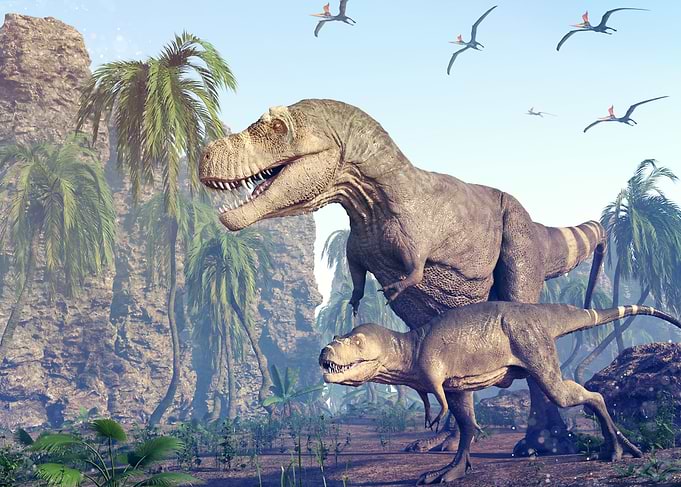 Tyrannosaurus Rex dinosaur