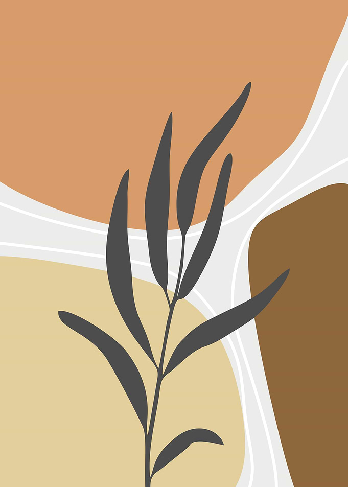 abstract soft leaf