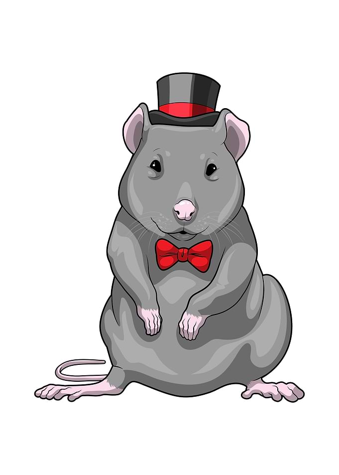 Rat Groom Wedding