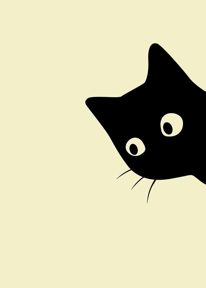 Right Cat