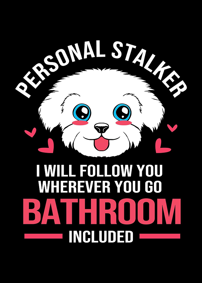 Personal Stalker Maltese
