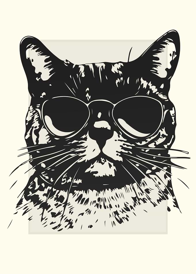 Australian Mist Cat Sketch