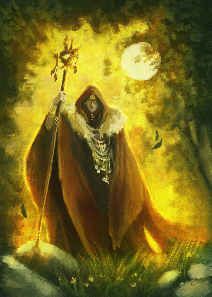 THE SUN FO THE FOREST