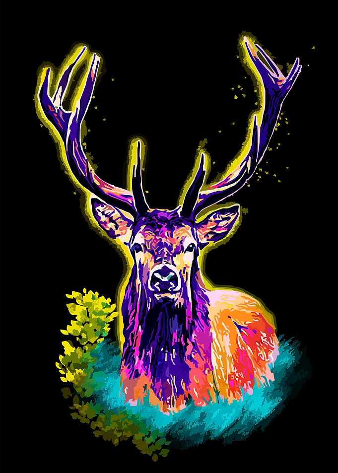 Animal Deer II