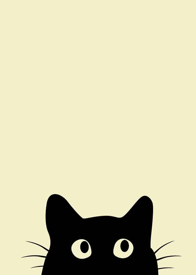 Central Cat