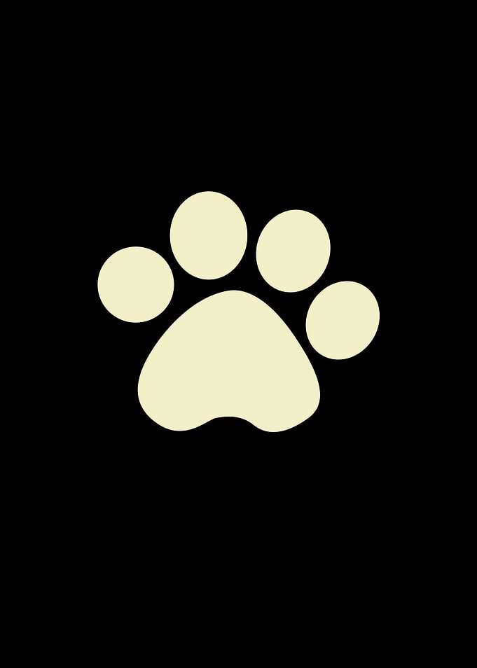 Cat Paws