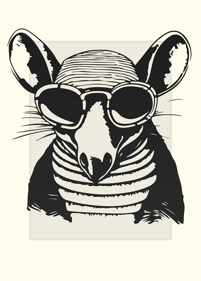 Armadillo Illustration