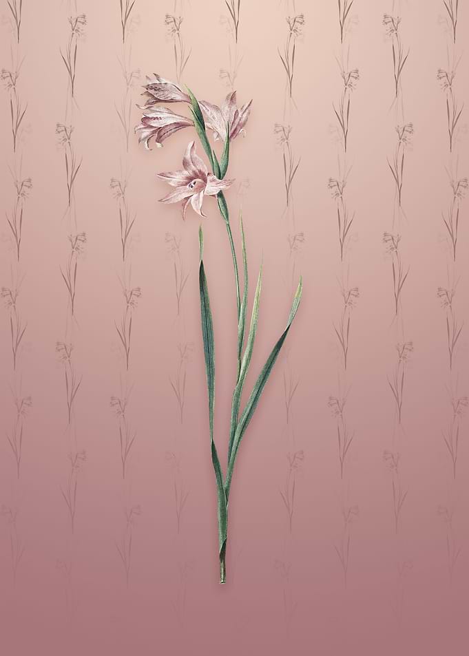 Vintage Painted Lady