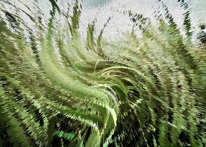 Cattail swirl