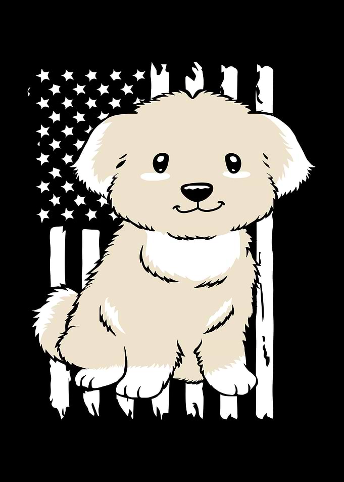 American Flag Dog