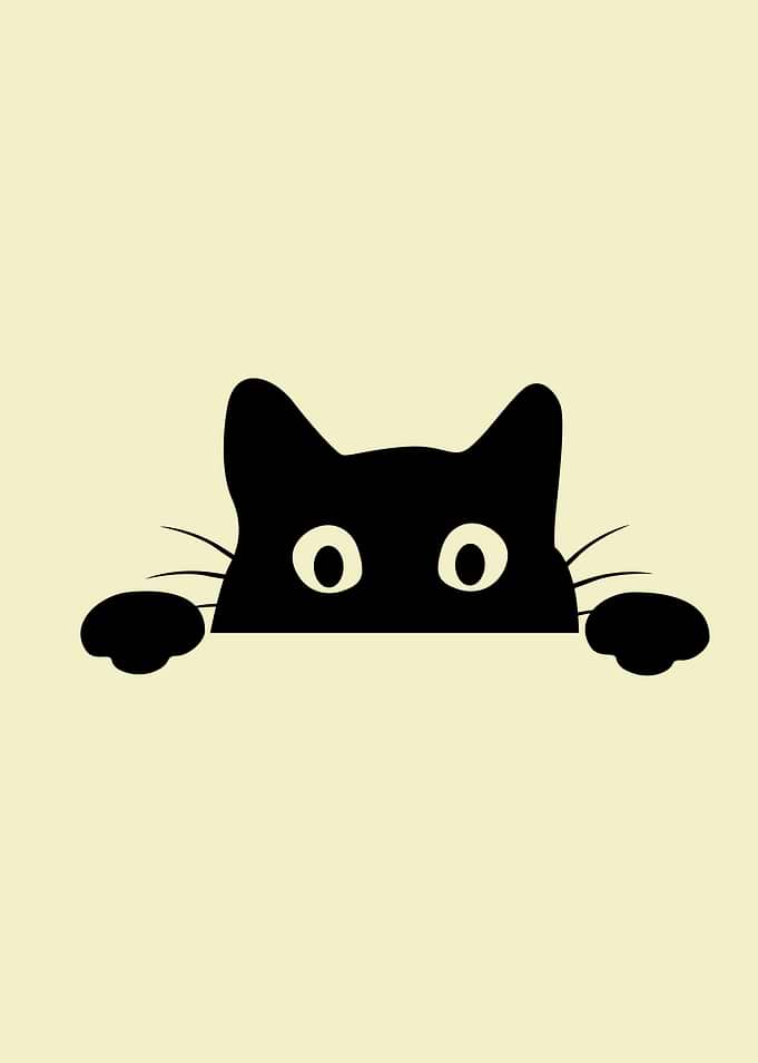 Cat Peeking
