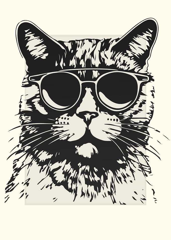 Australian Mist Cat Sketch