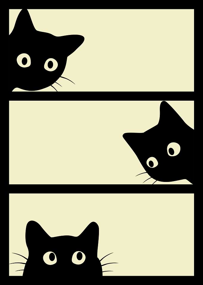 Three Black Cats