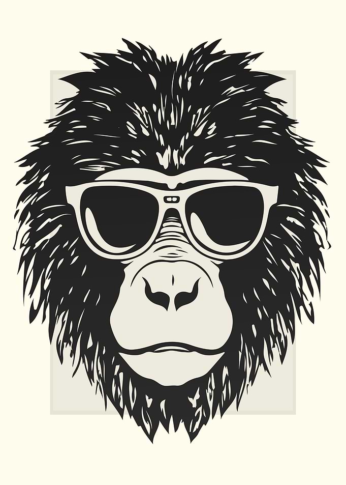 Baboon Illustration