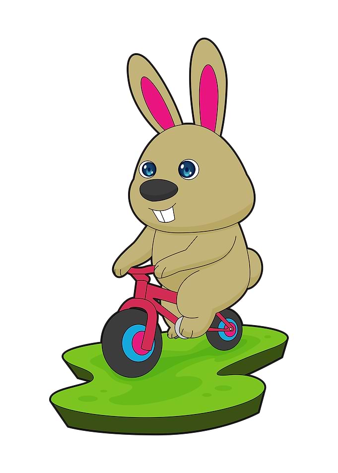 Rabbit Bicycle