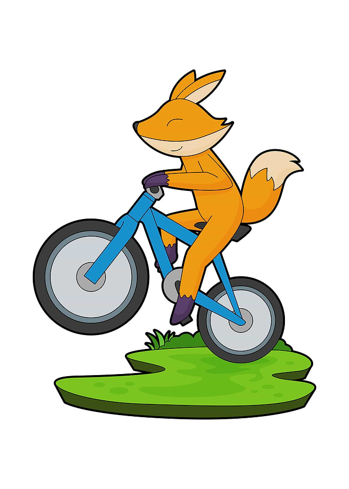 Fox Bicycle