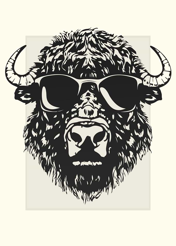 Bison Illustration