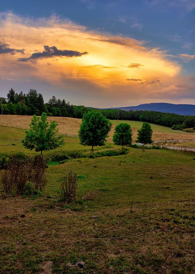 Road field landscape