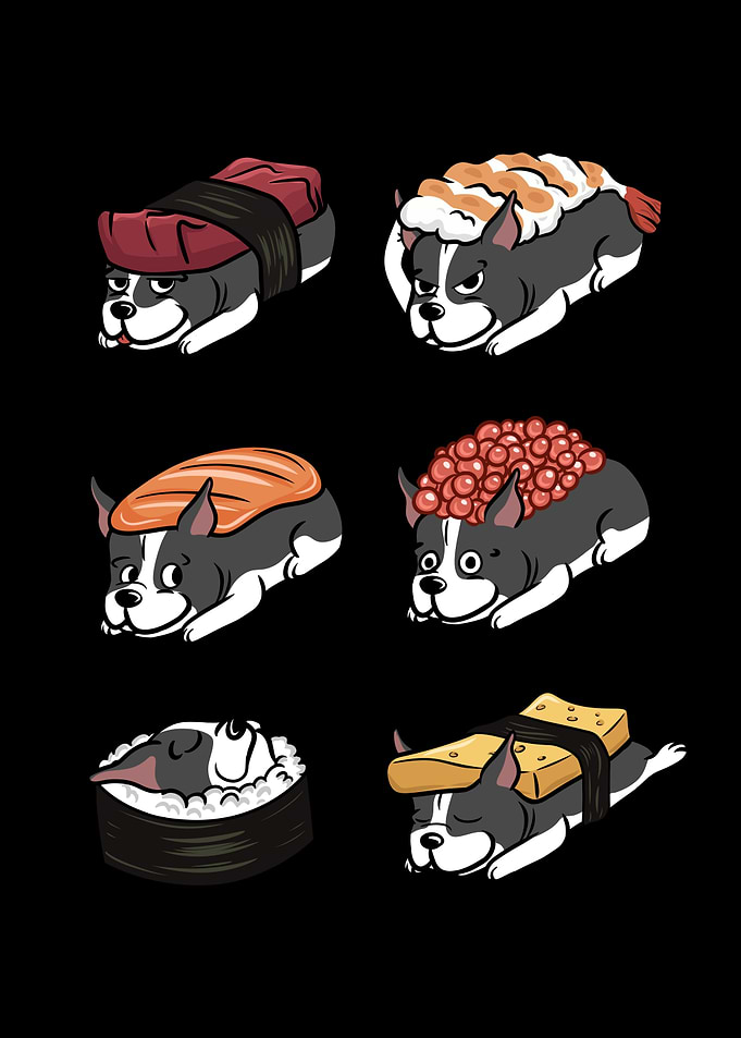 Boston Terrier Sushi