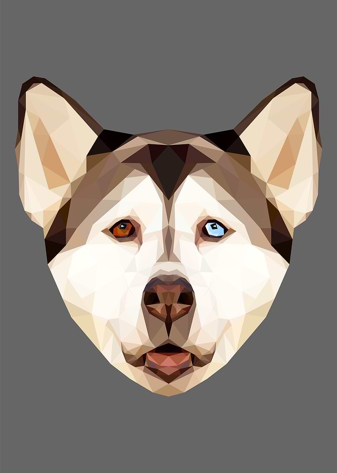 Low Poly Siberian Husky