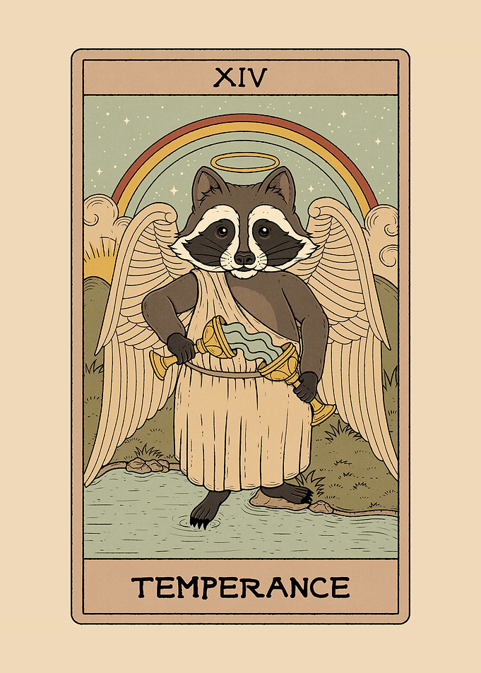 Temperance Raccoon
