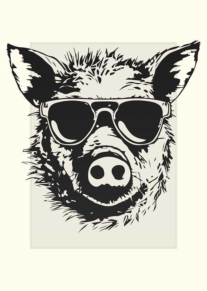 Boar Illustration