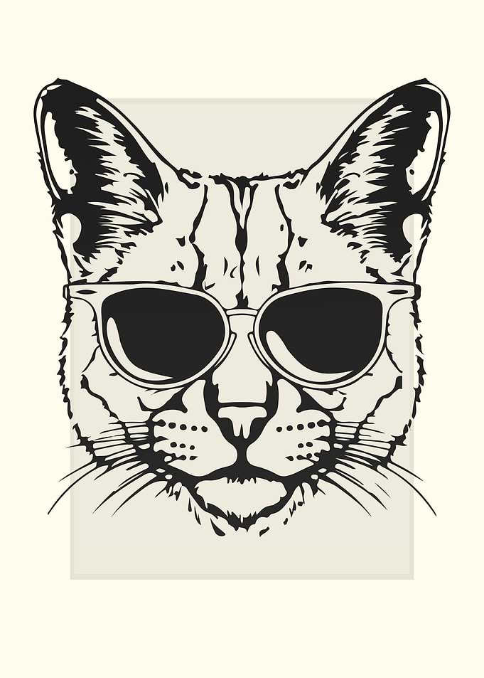 Bobcat Illustration