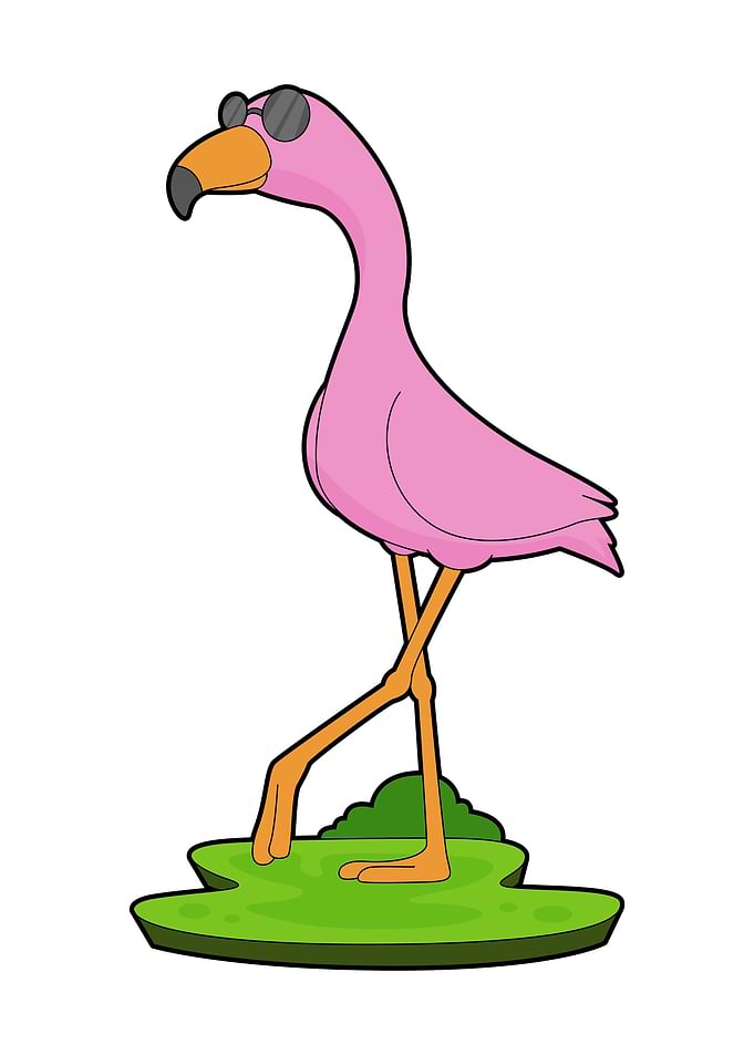 Flamingo Sunglasses