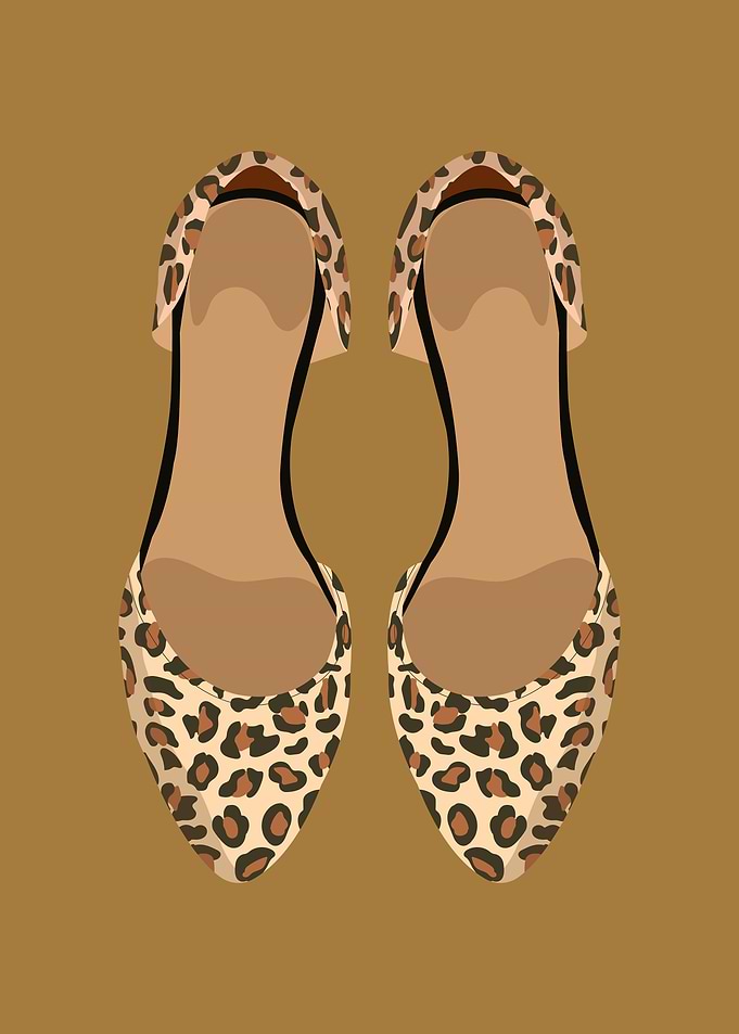 Fancy leopard shoes