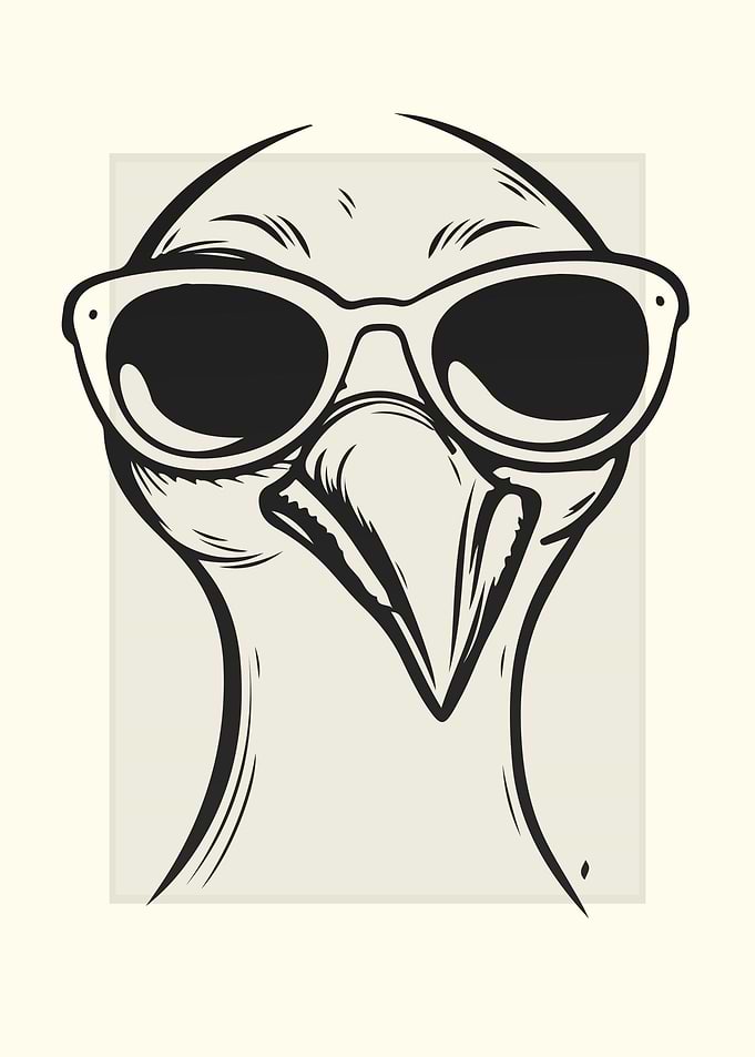 Booby Illustration
