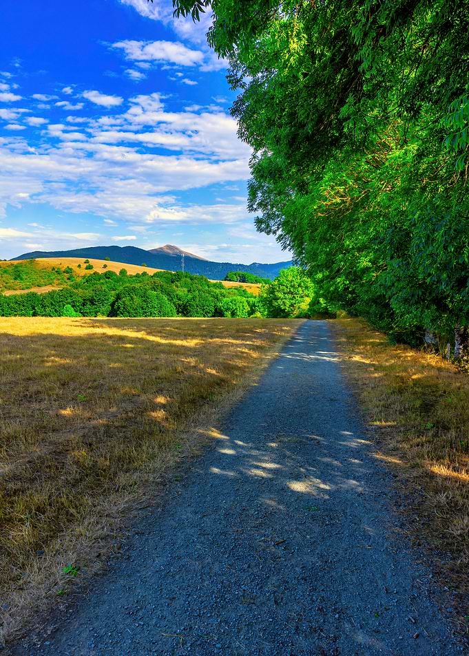 Road field landscape