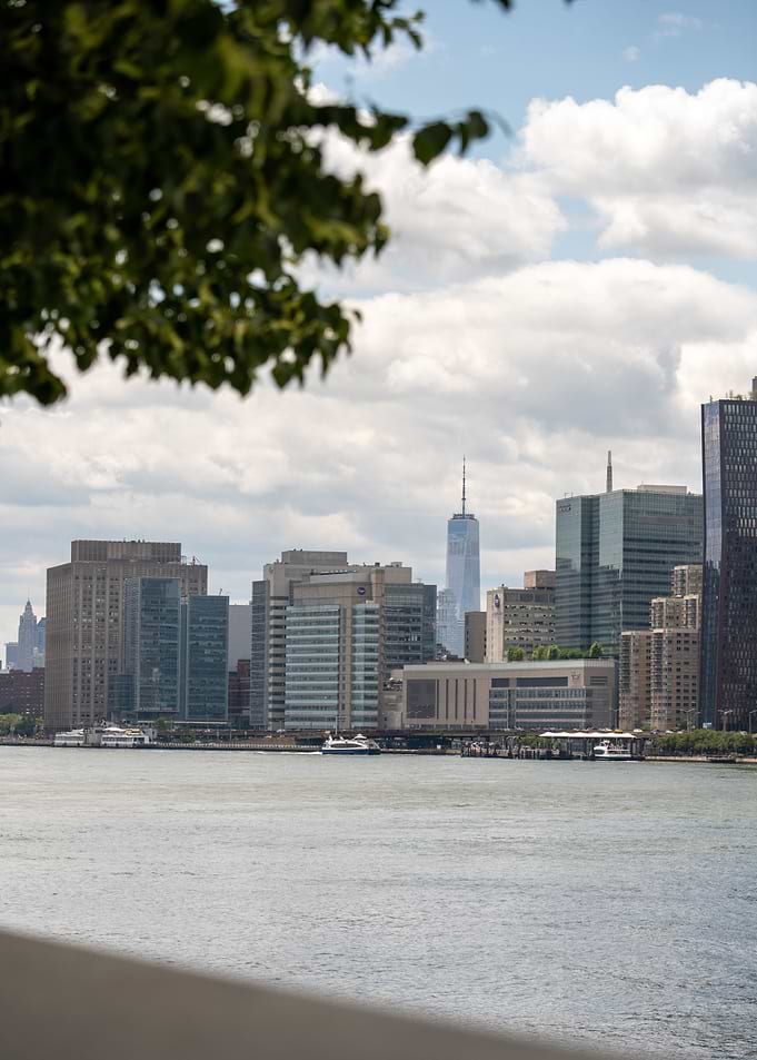 New York City Skyline